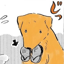 草履をくわえてスタンバイ！おばあちゃんとのお散歩が大好きなレトリバー