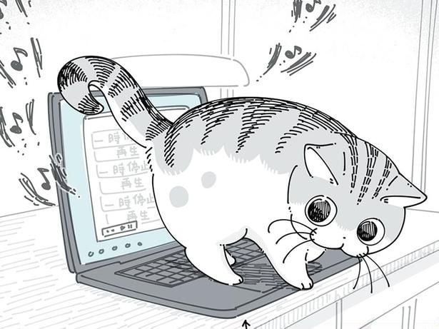 PCの上にいられると…