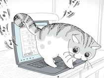 「どいてどいて」「どいてよ～」PCの上にいる猫をどかすための様々なやりかた