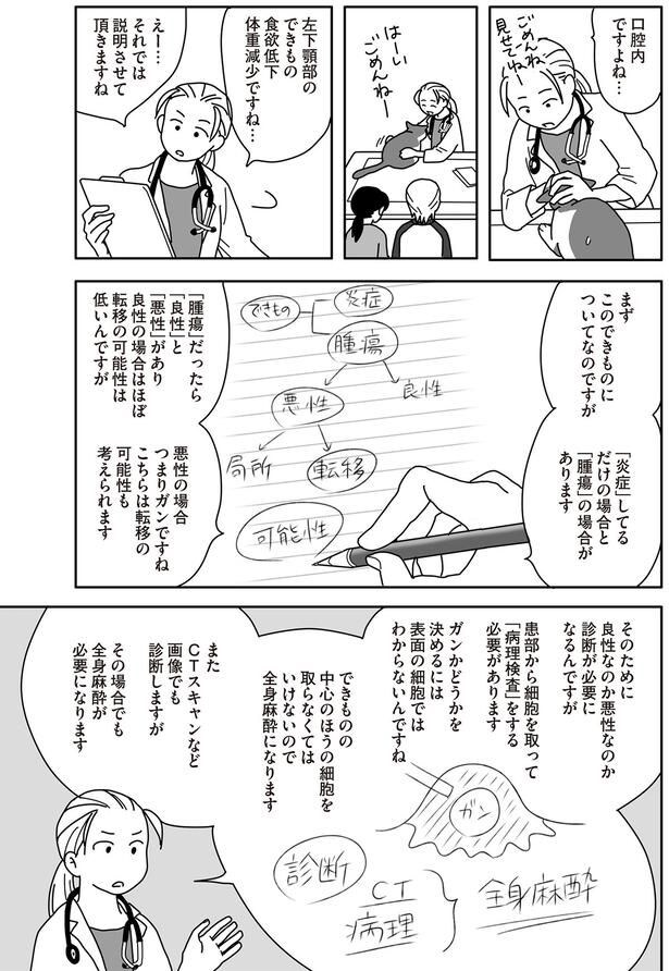 口腔内ですよね…