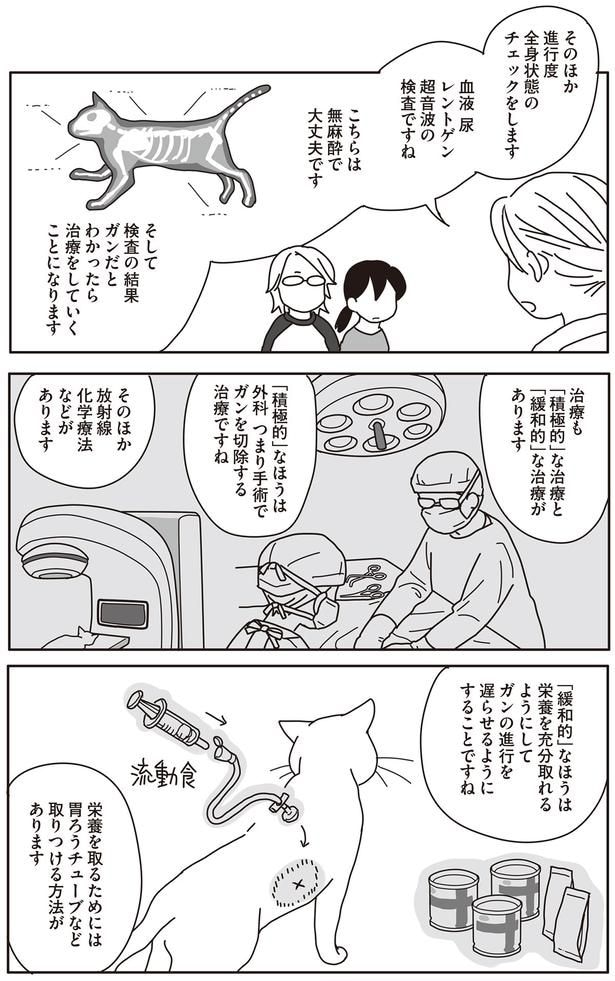 治療も「積極的」な治療と「緩和的」な治療があります