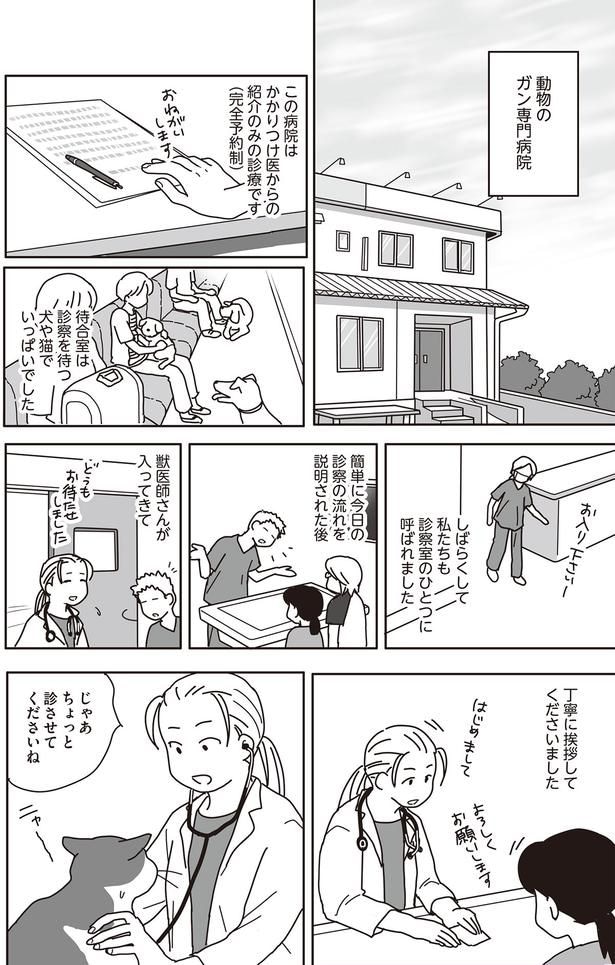 じゃあちょっと診させてくださいね