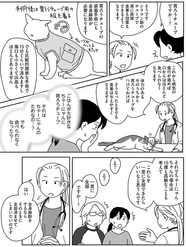 それはちゃーにゃんのためなの？
