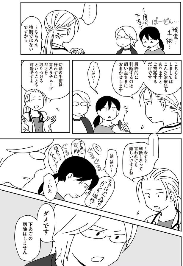 ダメです　下あごの切除はしません