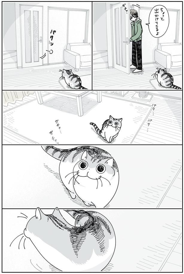 飼い主が出かけると