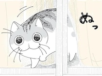 「見送りに来てくれたの」窓から飼い主の顔を見たネコの驚くべき反応