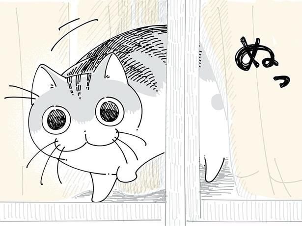 「見送りに来てくれたの」窓から飼い主の顔を見たネコの驚くべき反応