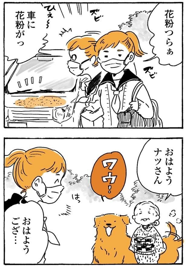 車に花粉がっ