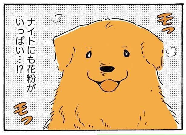 花粉がいっぱい…?