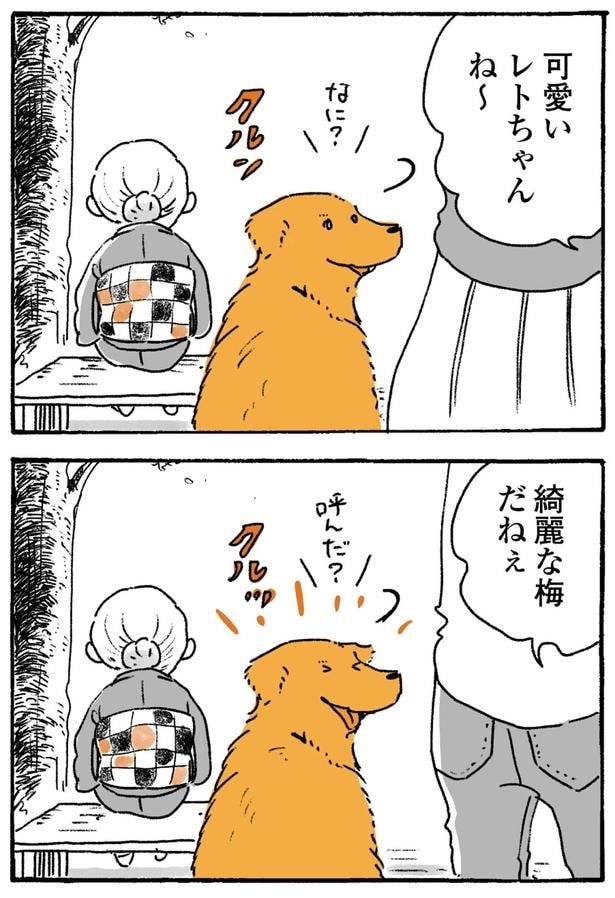 綺麗な梅だねぇ