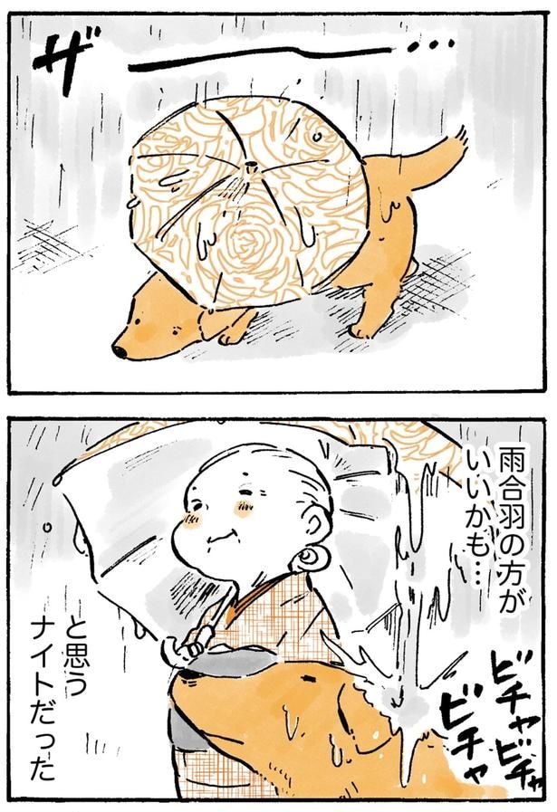 雨合羽の方がいいかも…
