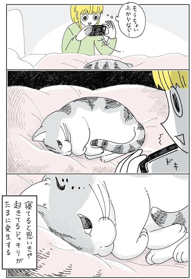 目が合って…