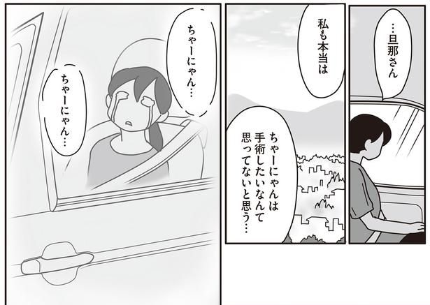 私も本当は　ちゃーにゃんは手術したいなんて思ってないと思う…