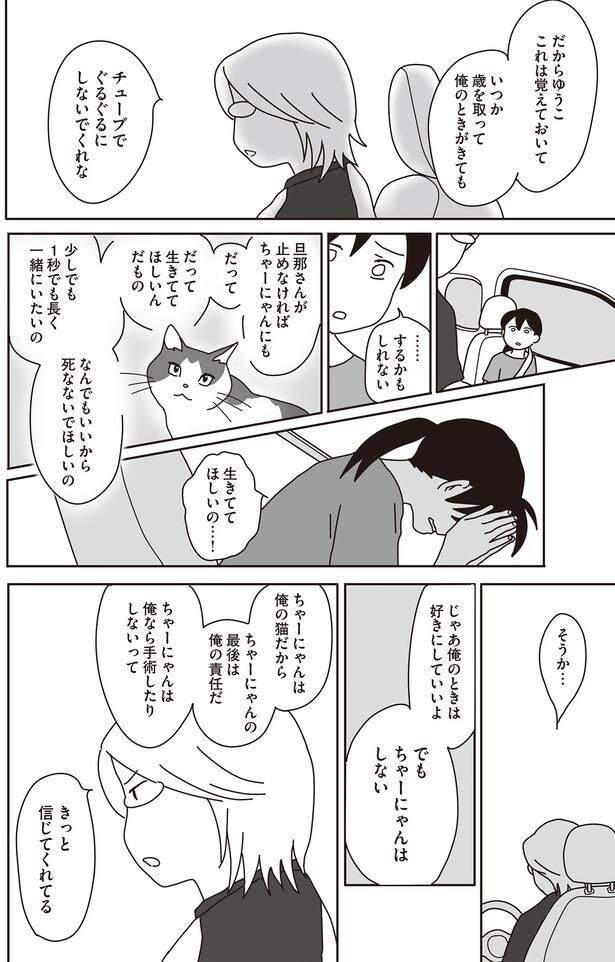 ちゃーにゃんは俺の猫だから　ちゃーにゃんの最後は俺の責任だ