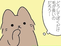 【みにくいアヒルの子なねこ】素朴な疑問。どうして自分だけ容姿が違うんだろう