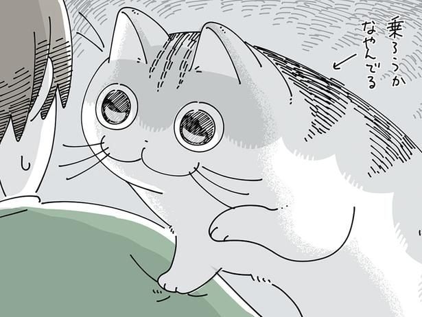 迷っているなぁ
