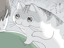 乗ろうか、乗るまいか。飼い主の肩に乗ろうとして悩んでいるネコ