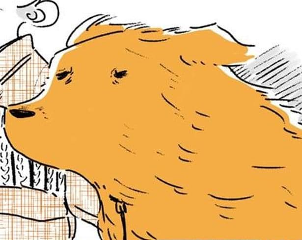 強風の中のお散歩