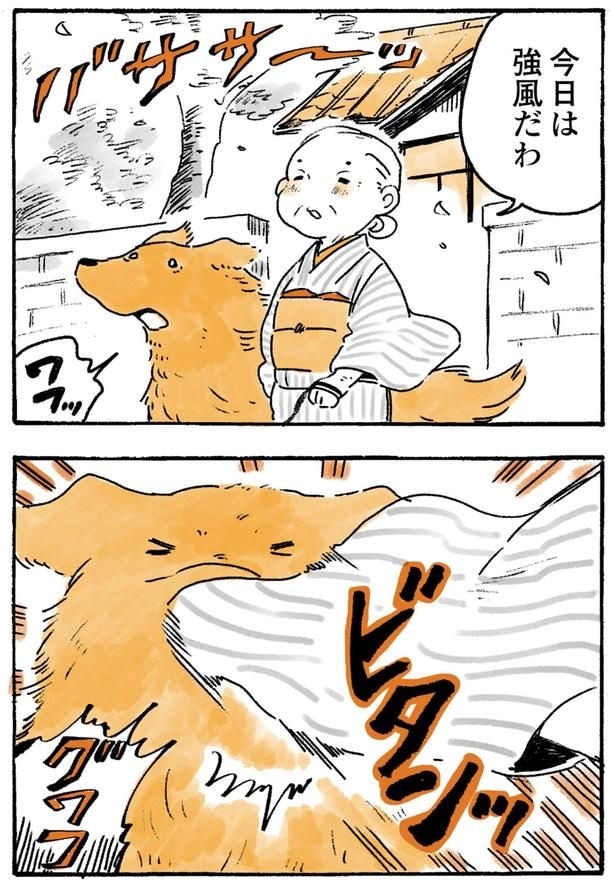 強風だわ