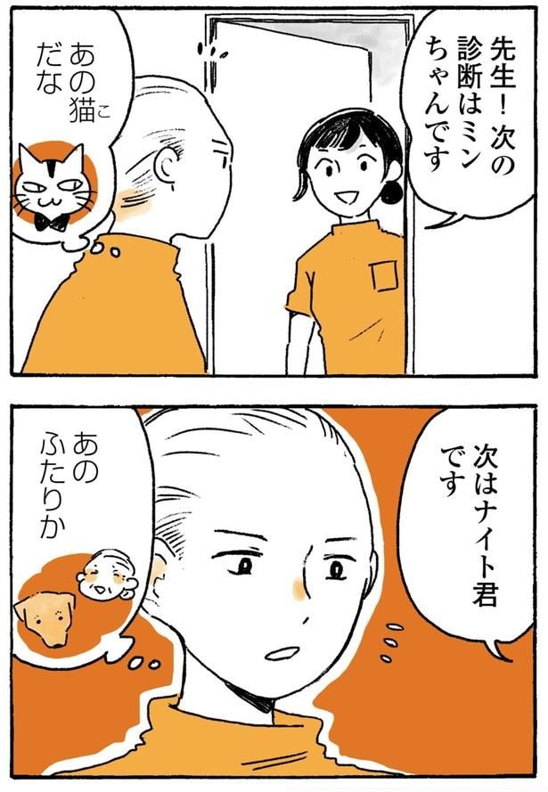 次はナイト君です