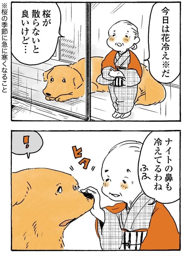 桜が散らないと良いけど…