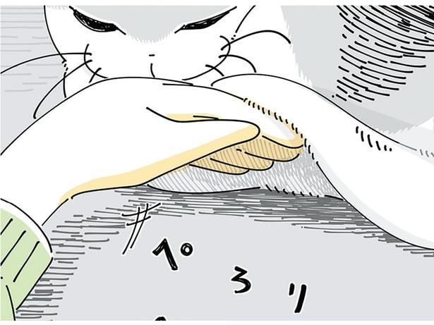 猫のお腹の下を探したくなる