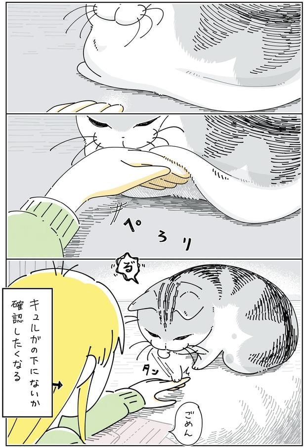 お腹の下には