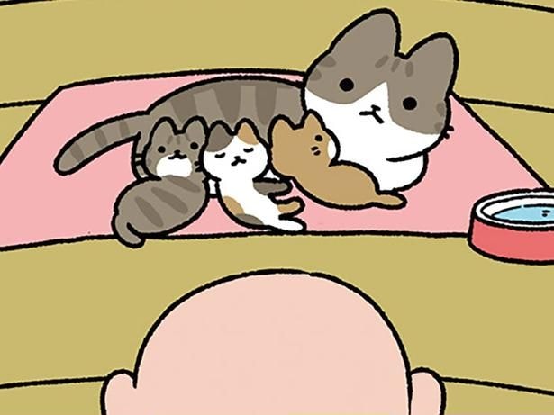 粋なはからい
