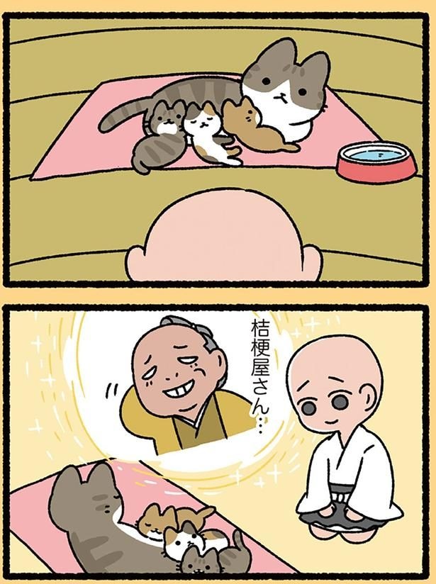 桔梗屋さん…