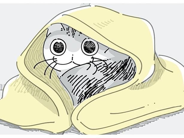 寒そうなので布団をかけると
