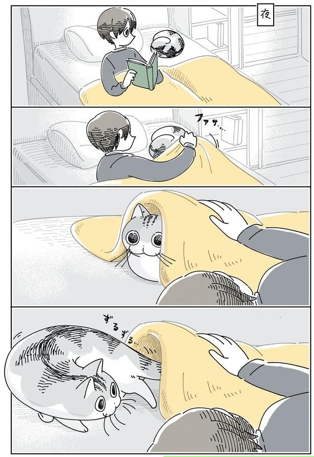夜、布団をかけてみると