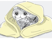 ふとんをかけるとどいちゃう。寒そうにしているネコへの気遣いは無用？