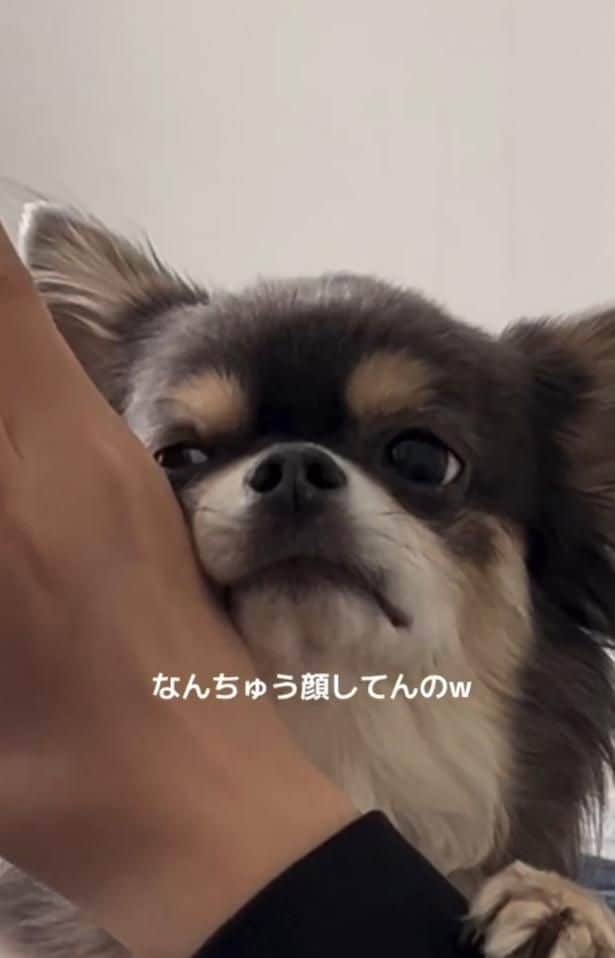 ぎろりと睨み、不満そう▶別の日には…(⇒次へ)