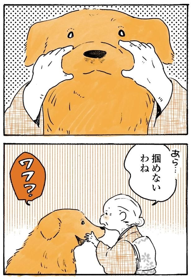 掴めないわね