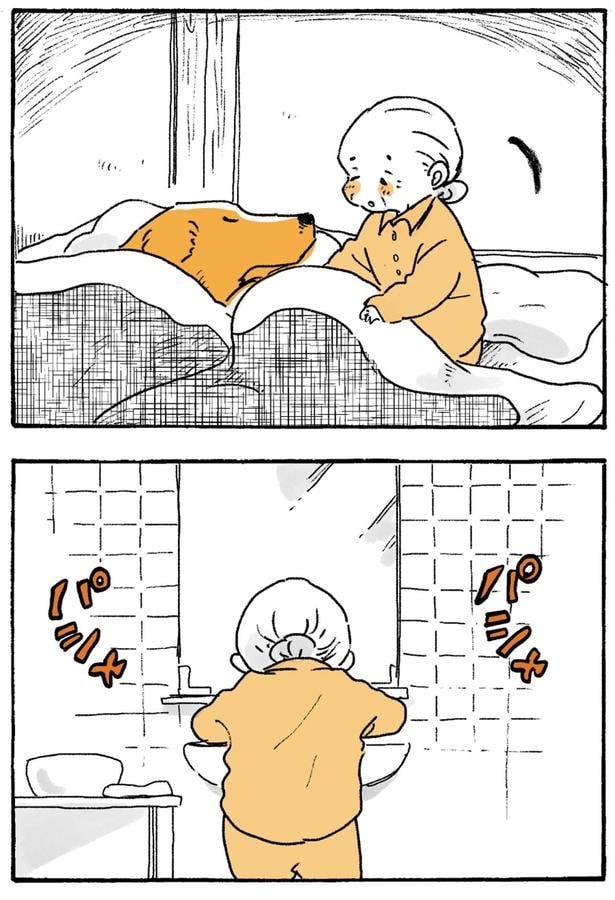 パシャ　パシャ