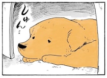 おばあちゃんに注意されてしゅん…。いたずらっ子レトリバーの反省タイム