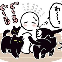 飼い主がしゃがんだ瞬間、即ロックオン。黒猫ろんの独占ターン
