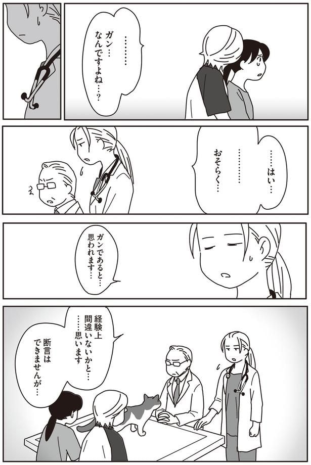 ガン…なんですよね…？