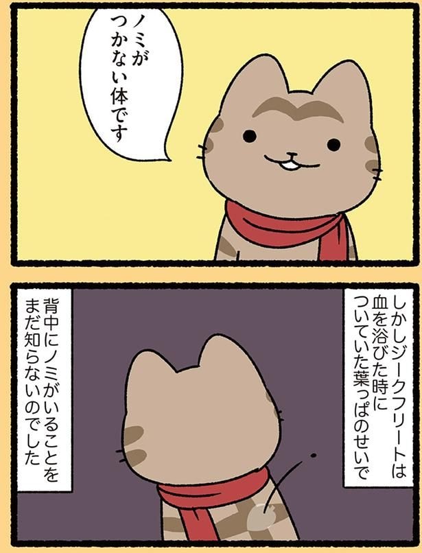 背中にノミが…