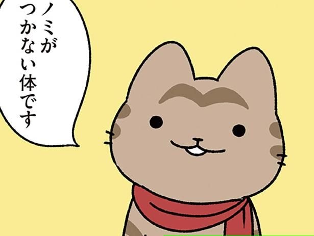 【ジークフリートのねこ】無敵になった? 竜を倒して得たのは「ノミがつかない体」