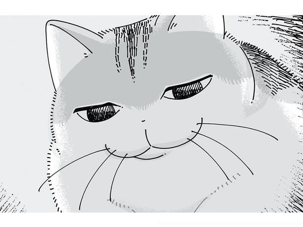 その顔はどういう感情?