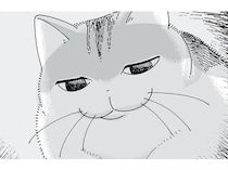 体調不良で寝込む飼い主のもとへ現れたネコ。絶妙な表情は何を思っている？