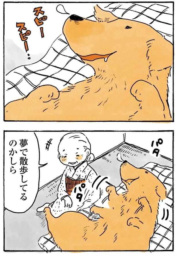 スピースピー