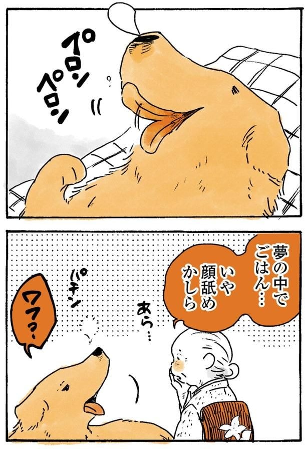 顔舐めかしら