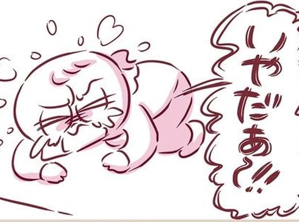 いやだぁ!!