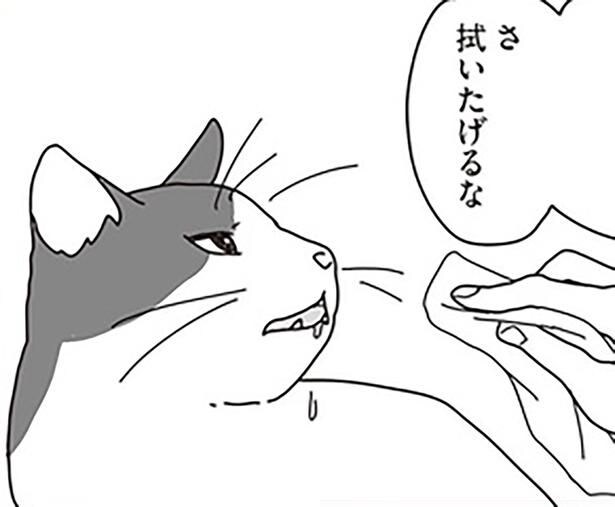 夫婦で選んだ自宅看病という道