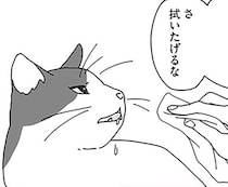 余命3ヶ月と宣告された愛猫。夫婦で選んだ自宅看病という道／世界一幸せな飼い主にしてくれた猫（14）