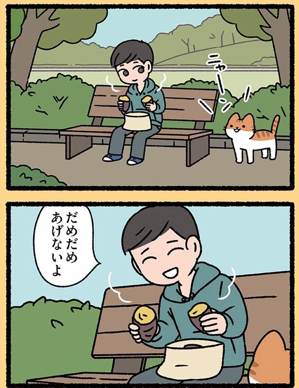 あげないよ