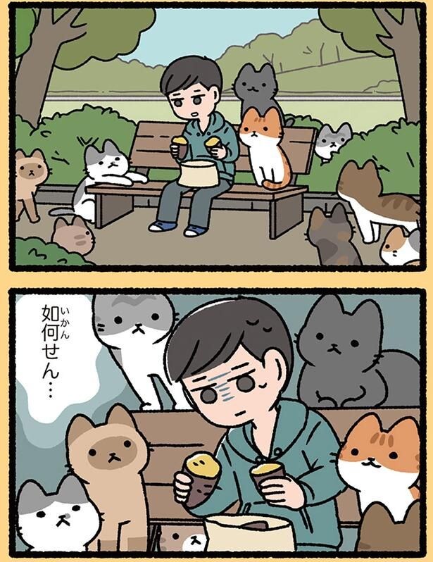 如何せん…