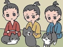 【3匹のねこの教え】1匹でも可愛いのに！ 集まってさらに可愛くなるねこたち